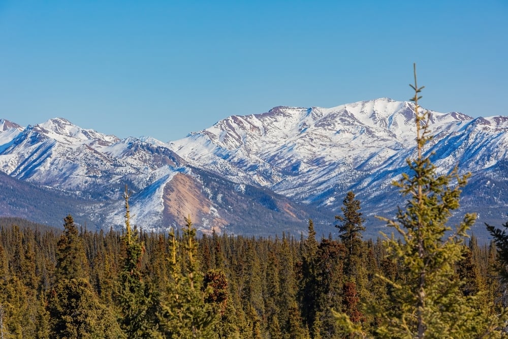 Denali National Park