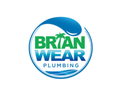 brian wear