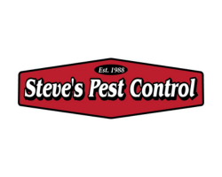 steves